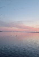 Harmina_01