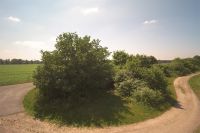 Bild-005