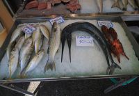 Fisch-und-Fisch
