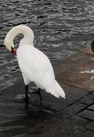 Fotos-von-Prag-_x21