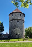 Tallin_12
